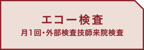 エコー検査