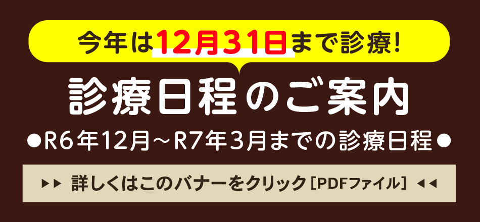 診療日程のご案内